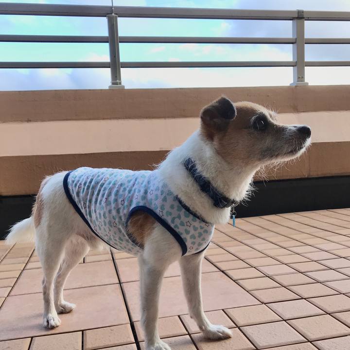 3eff81ee dd18 41aa b8cc e64c1aa98159 1596337513788