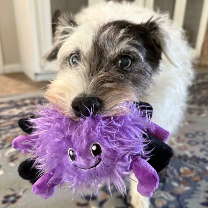 3effa96c 63e6 4051 8357 c02ec09ae074 1755466395576