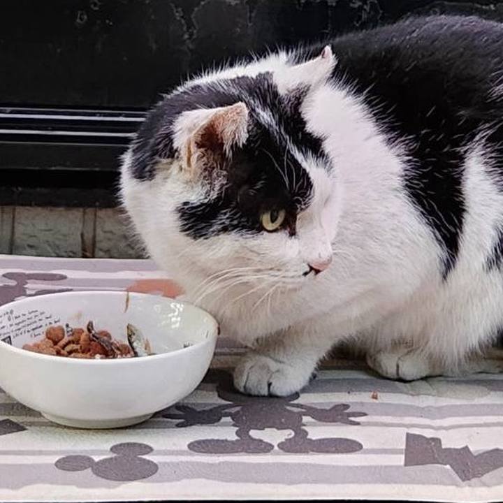 3effc8ef 0965 4497 a304 a293e28f20af 1768983553052