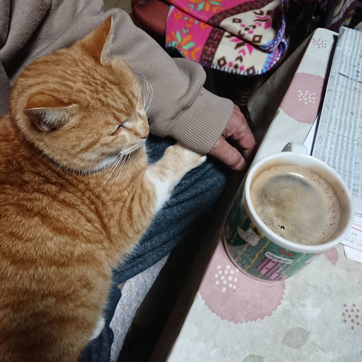 3effded7 3c8f 4773 999f 2c41ae01562c 1577130812249