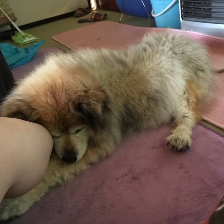 3efff550 ad5c 46c6 b8f4 190a00923c1c 1564960011670