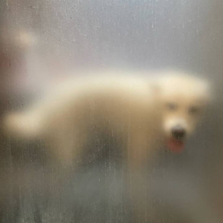 3f0006c8 2bda 42be abc1 7a2e249deaf8 1721459376193