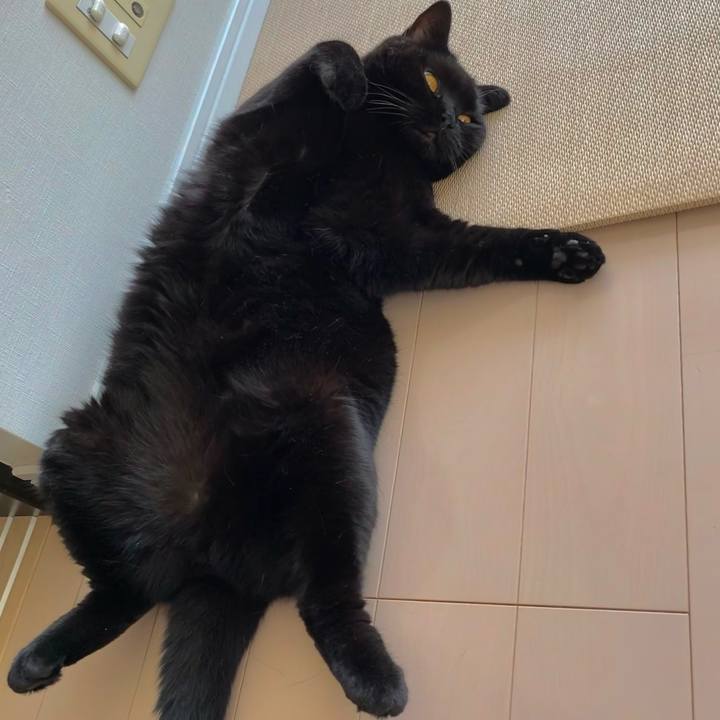 3f0060d4 19d3 49e3 8f1c b9bbf58f493f 1629862335137