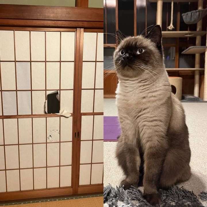 3f0079c4 92bd 46ea 8c07 9dd9cd10fd09 1637062972209