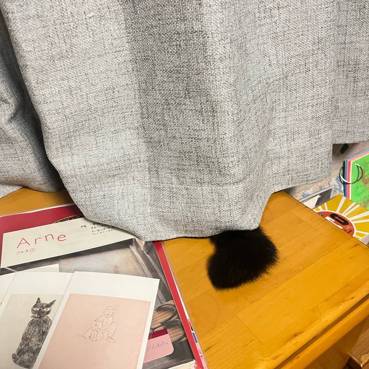 3f00a76c 63db 4935 93bd 2ed8e9a74150 1751643290359