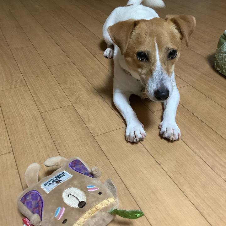 3f00c65d 749a 4510 8100 99bd267255b4 1563360545288