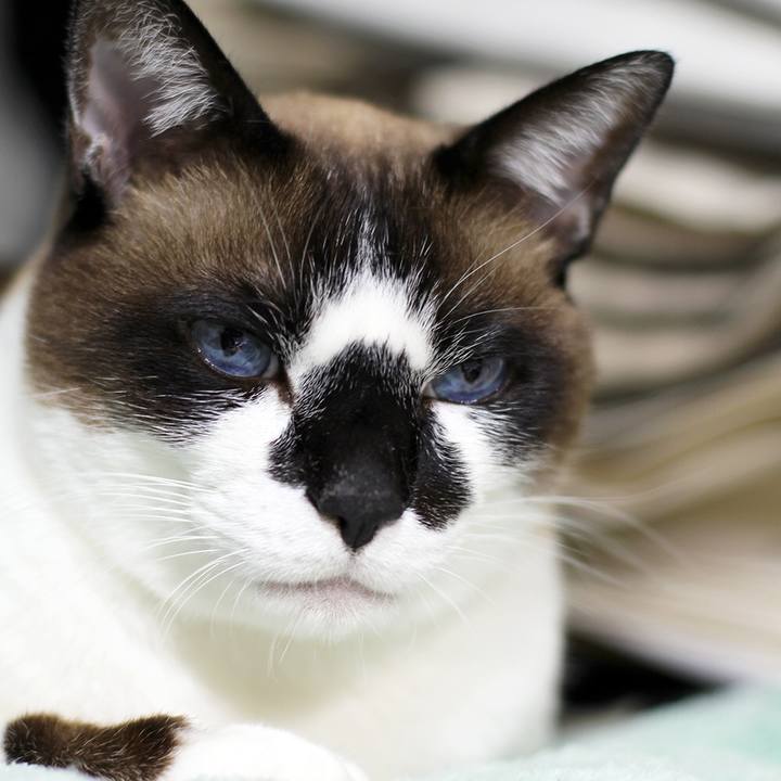 3f00d20b a0b7 4c5c 9717 5db8da079be8 1563270165447