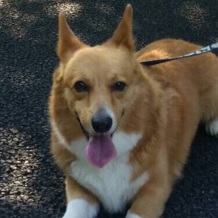 3f00e4ce 61e7 4c63 b932 ffa3fc614550 1629645246656