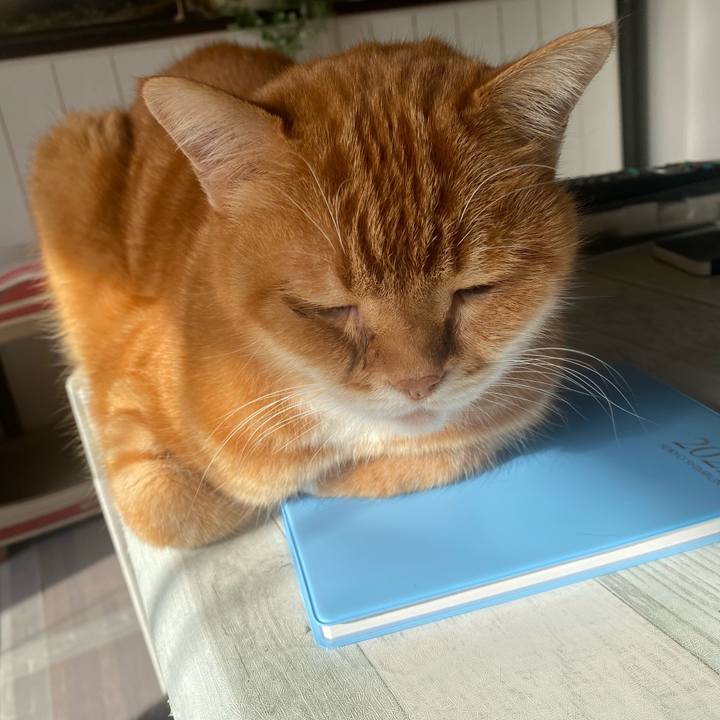 3f0104f2 fafe 42c7 b34a 96618435e853 1639272018062