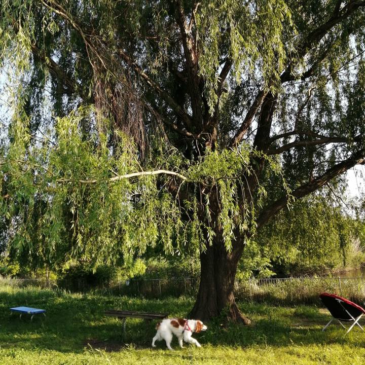 3f011f10 73f3 470d 8d37 6e4364b131c7 1622279688307