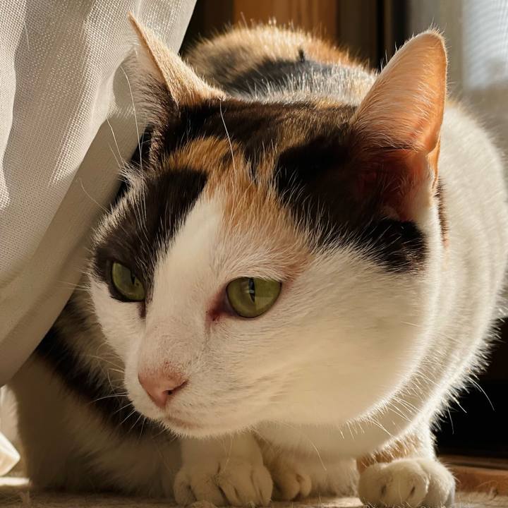 3f0121e2 965a 4bcb a606 8434da54db4c 1649469242850