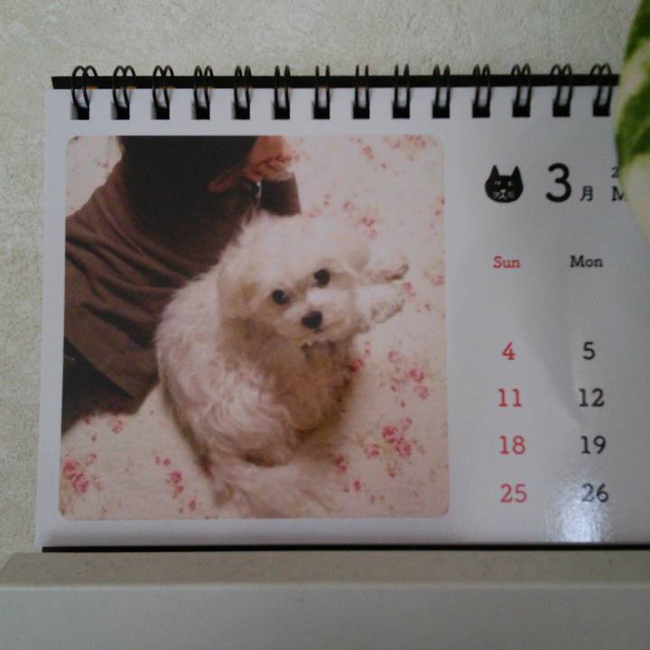 3f01548b 43d9 43a3 8b97 e1fc2f30fcea 1519863961247