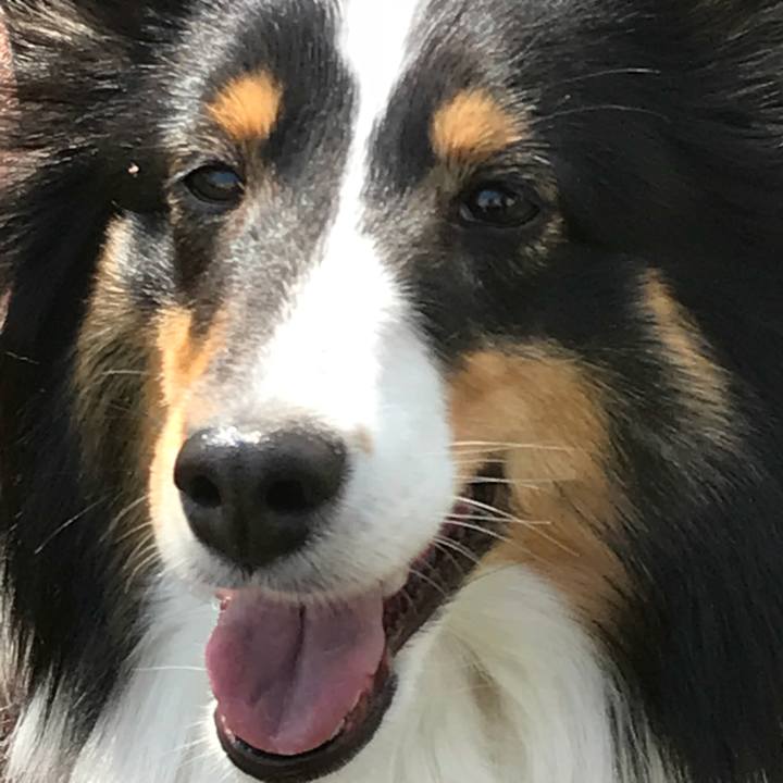 3f017dd6 db97 43d8 b089 9842f8d19274 1521861122716