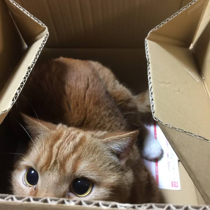 3f0181ce 5fdc 470b aadd 78d5d8ec3692 1590670708588