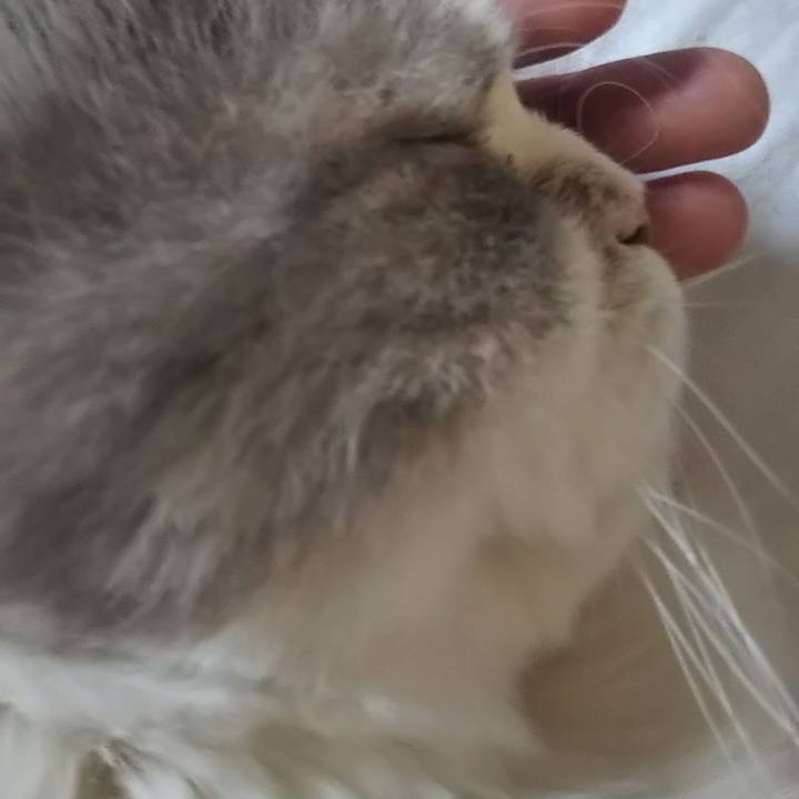 3f01867e 02b6 41b4 a6d1 5852a41144fa 1631584105596