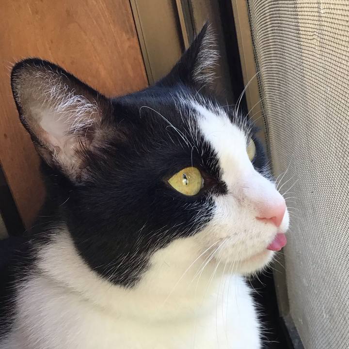 3f019fdf b5b8 4830 bbb4 6609c79723ed 1723884354947