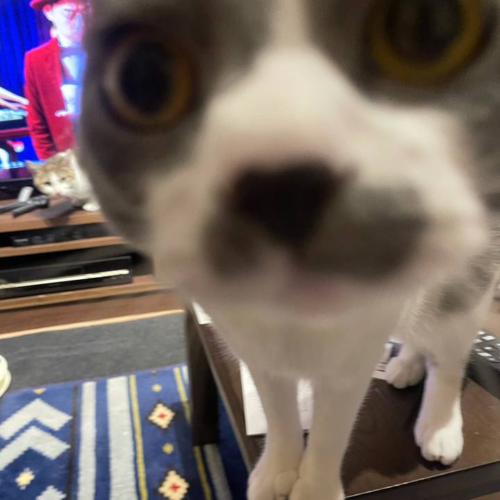 3f01c232 68ed 4ee1 9c12 83ae88244e72 1634898936904