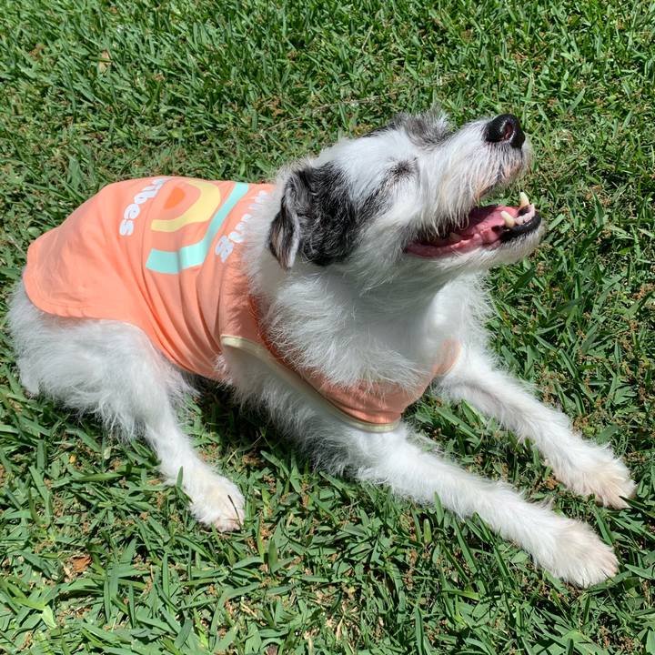 3f01c537 1fa2 4c9b af7e 5dbffb0dfb54 1649542125823