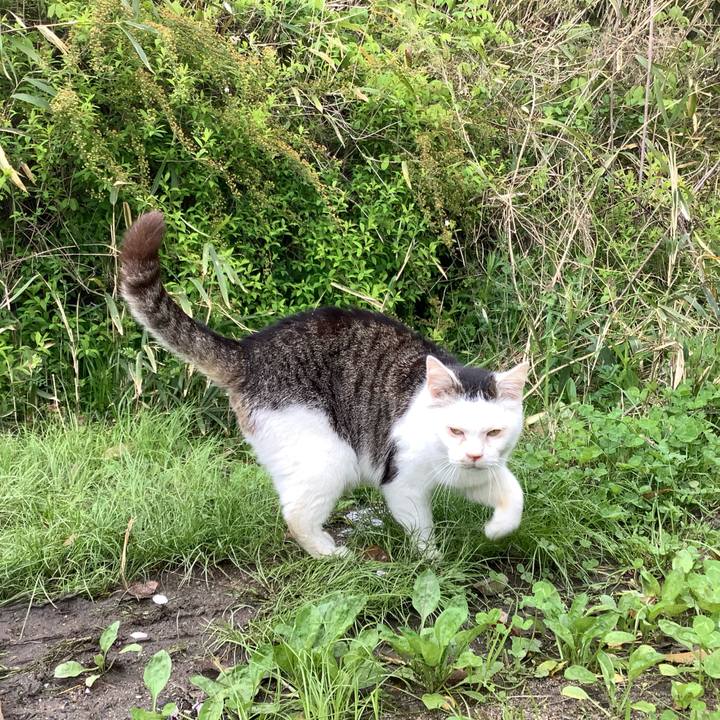 3f01cae4 b178 43e3 8ee9 aa43df5fb459 1587357287266