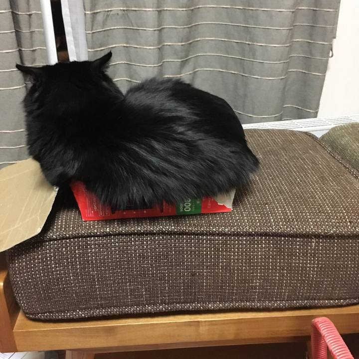 3f01dd06 0f75 4051 98a5 e448c7aa362b 1524047014255