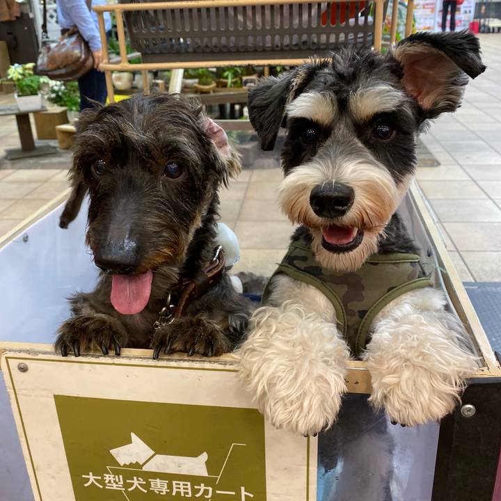 3f0207c3 7f12 4a15 8681 37ec2199a5de 1572167170805