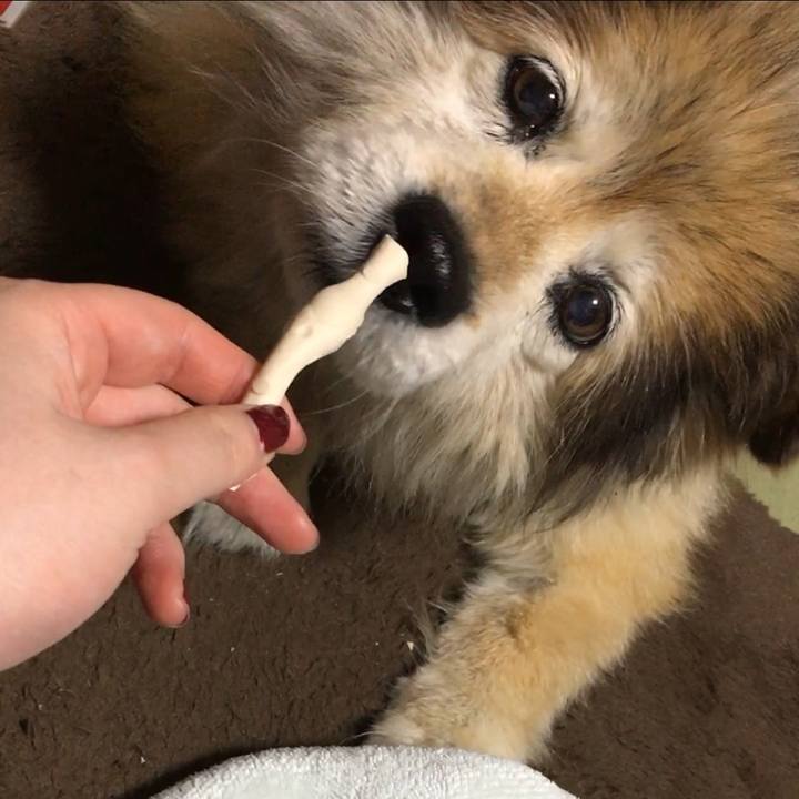 3f025568 1de2 4bd6 9263 8053cf9507a9 1563246860606