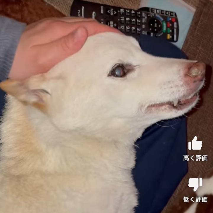 3f026096 b6e8 4849 9d64 c64c76fd6077 1676268188823