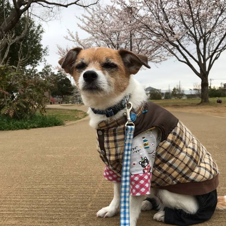 3f026518 953b 4034 bb50 d5179aea4852 1553821226516