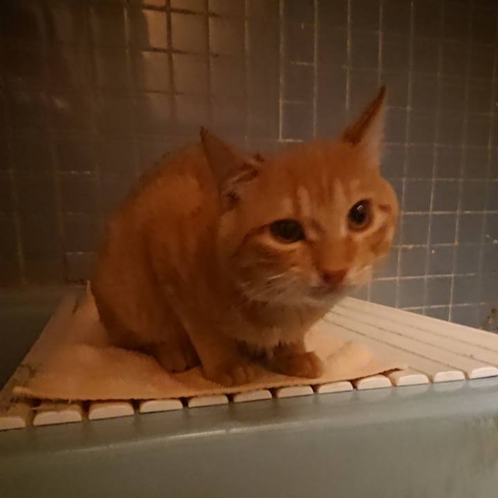 3f02795d 6f97 4be9 988a 2e8101d20e6d 1636794600685