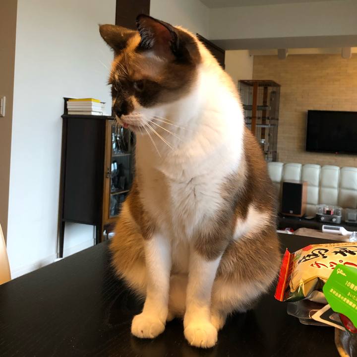 3f0279d6 258b 44b3 87a3 5ad911e87f41 1603845825726