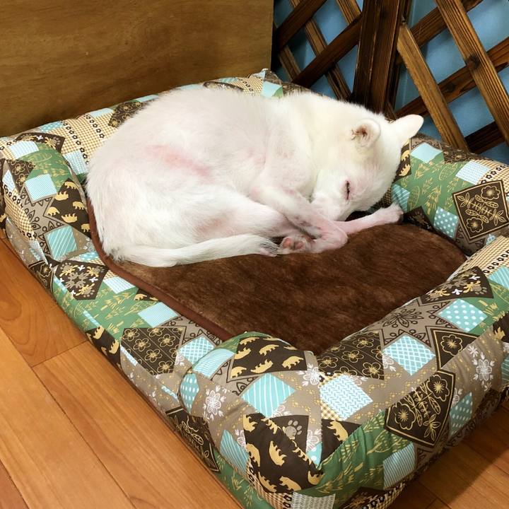 3f028170 3102 4230 a87d 94f5e7513961 1605275103734