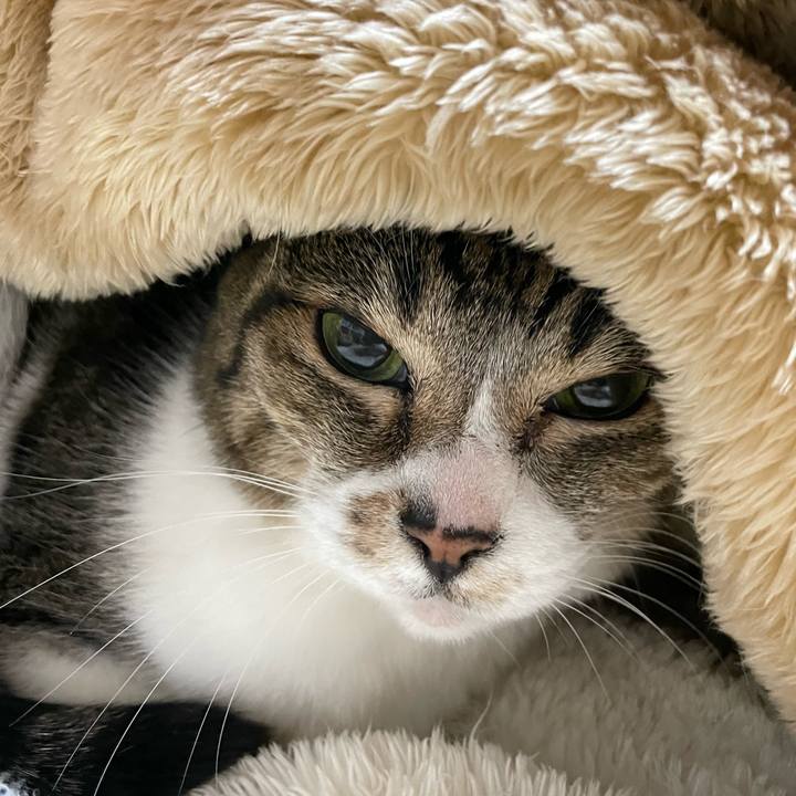 3f02b147 5f0b 4ef8 9bdf 20b56391cc69 1645666495503