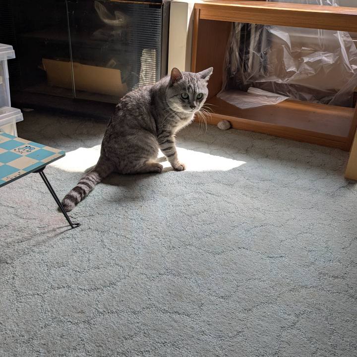 3f02b16d e774 4d36 8c92 303c08f25b62 1752467651349