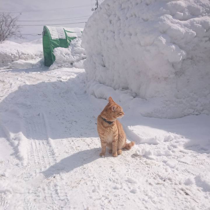 3f02c646 26a8 4865 978a 5dcd9fdfb3a9 1645073281399