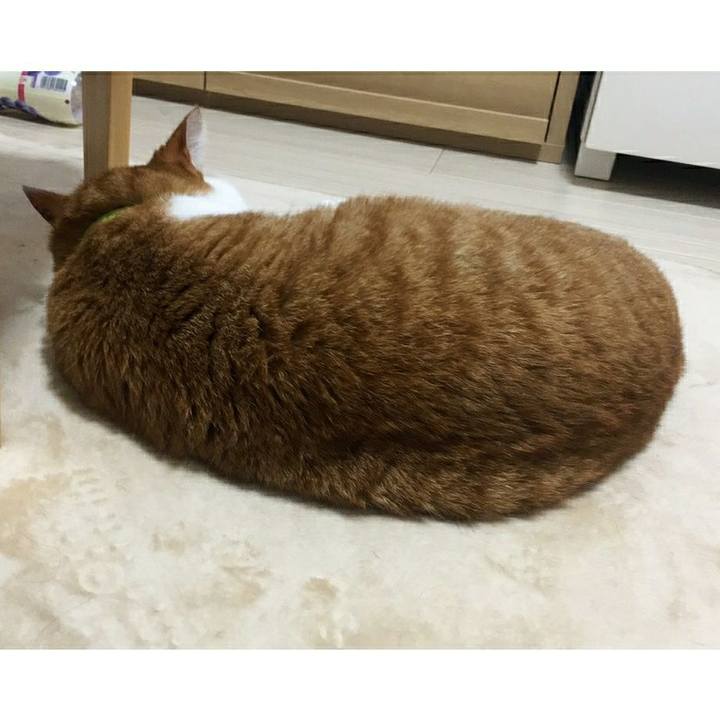 3f02dea1 9bef 4b9d b1b1 fcc952c91378 1543268674267