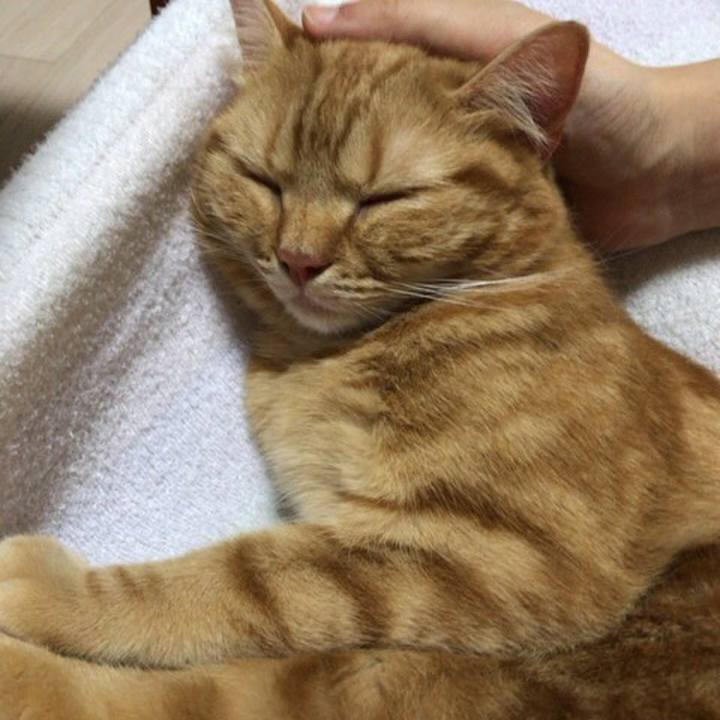 3f02df84 5563 4743 91e2 81e7ec24ba48 1529754659747