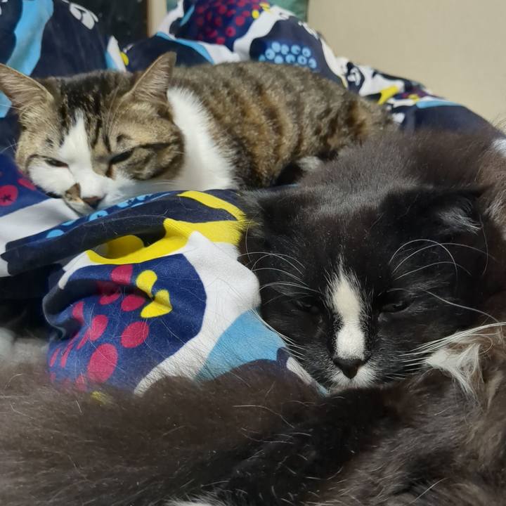 3f0307a3 4e33 4af1 b0a6 e7a9387ea68c 1671237379348