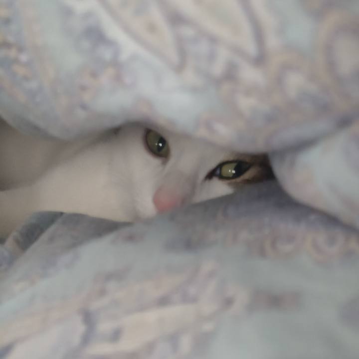 3f0382e3 6073 49c4 a1a7 28d5dadfc129 1710644238093