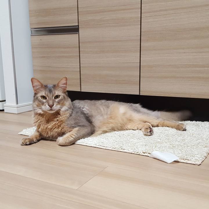 3f0383d7 20df 4ed9 a548 3a5e3653e618 1583835828695