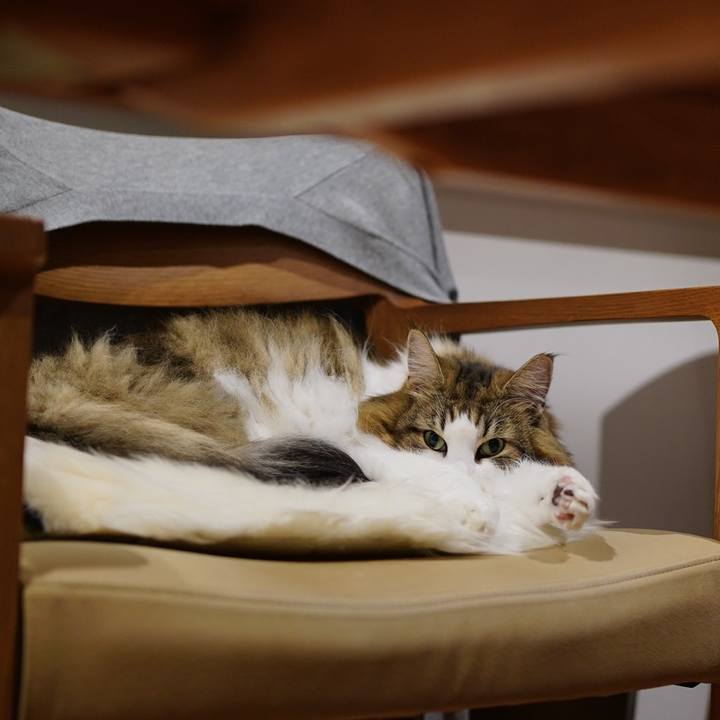 3f039dc3 6bc4 4430 aa5c 7b8ea1e1393e 1697291001582