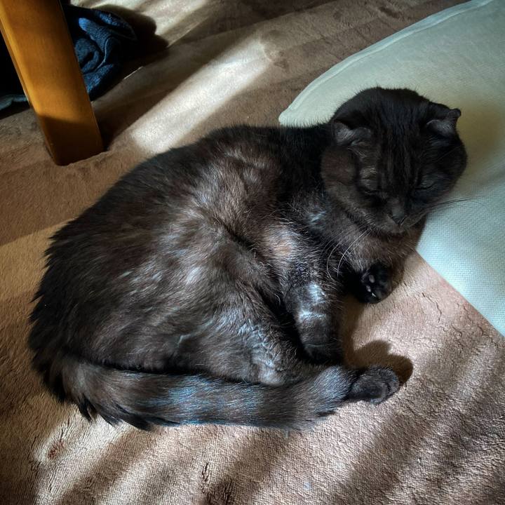 3f042560 f1cd 436a a79f 0f80ce79f989 1635996406705