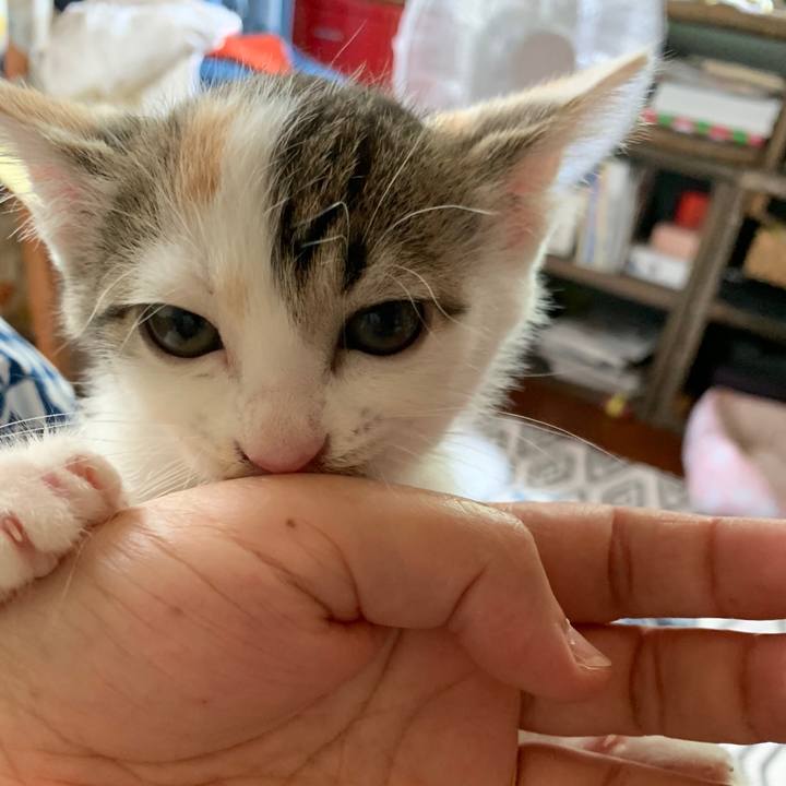 3f0429a7 067b 42c3 9dd5 f78b032a9393 1591924623570