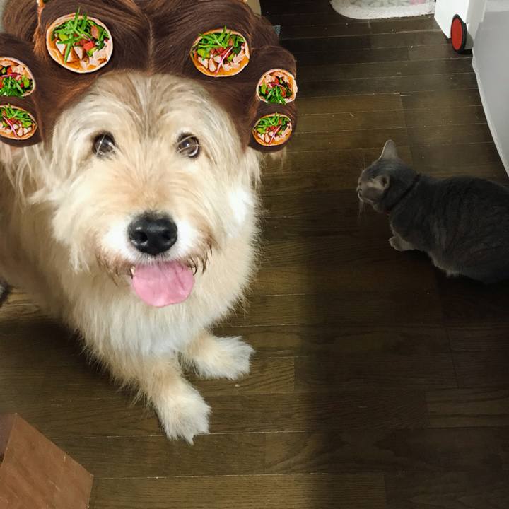 3f0461b1 2192 4288 8da4 b9bb31cbbca8 1563512778042