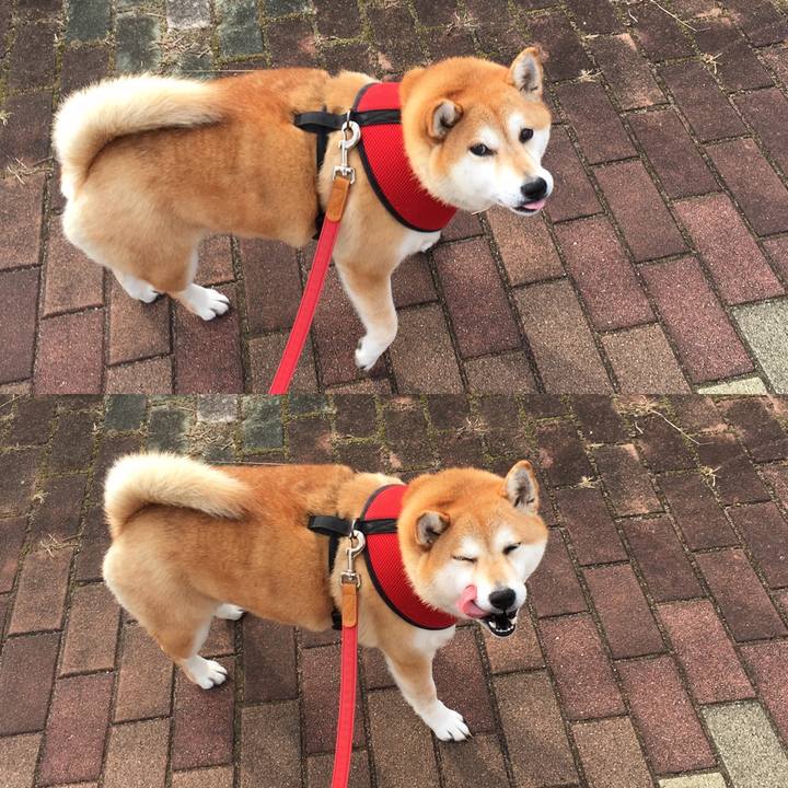 3f049f73 5fdb 43a4 a64c 403803a49a4a 1604017516779