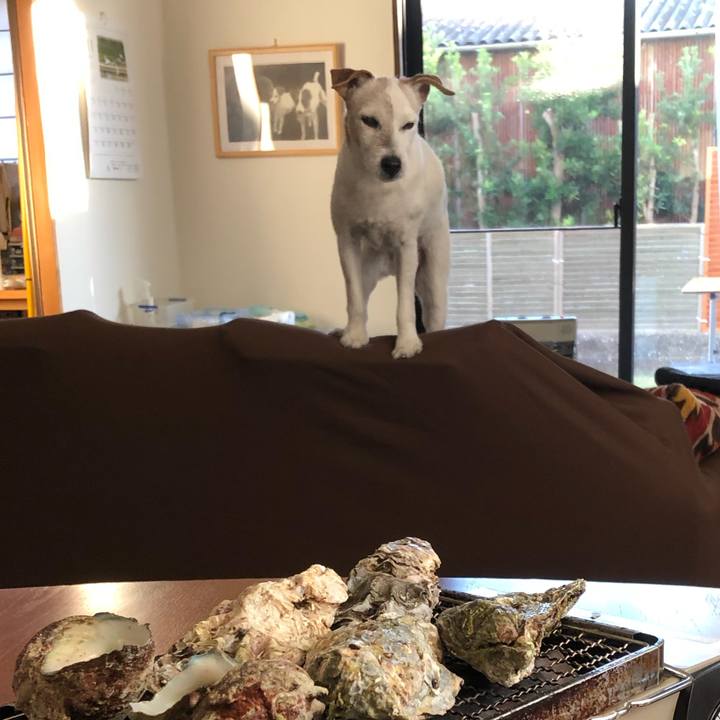 3f049ff5 d7b3 4154 a736 8dba1d6418a3 1545481256616