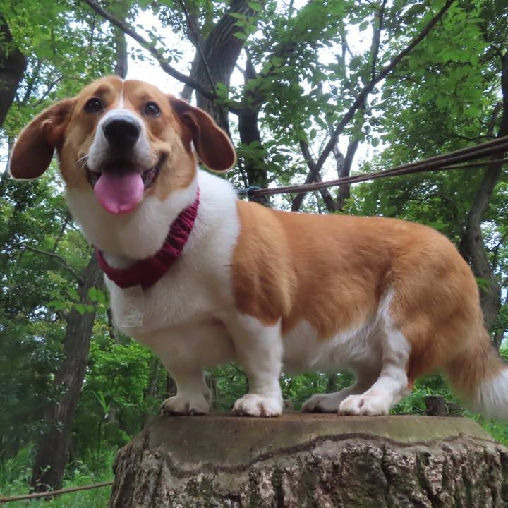 3f04b55f 434c 4f49 9c44 1d8207753bc2 1624800796592