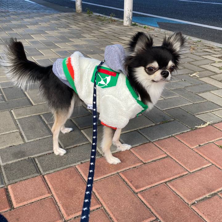 3f04cd5e 0da9 4c76 a264 73841131503a 1641112767821