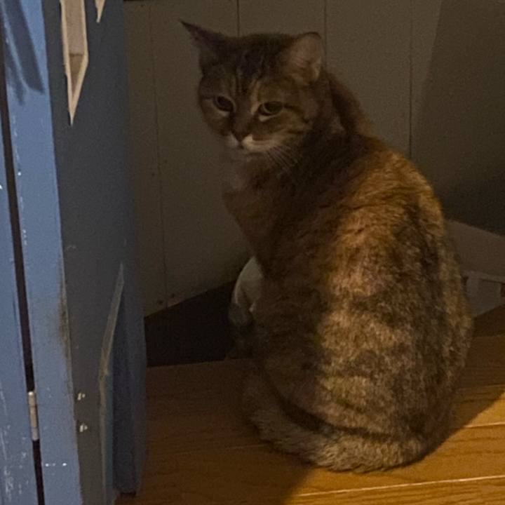 3f053cc1 03c5 42b0 b1f4 1d2809a2ec34 1732278079158