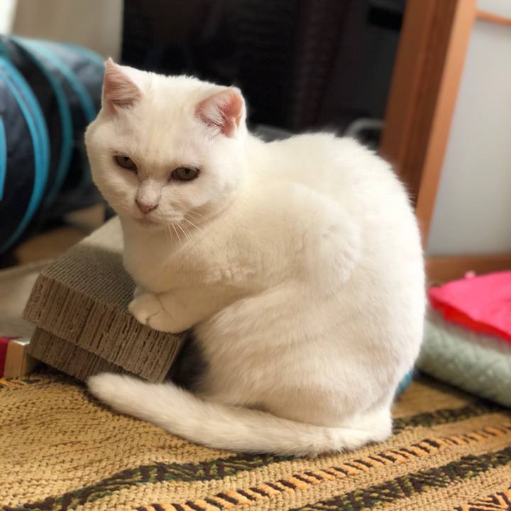 3f055387 f1c7 4260 9f9c 62e8fdbed8cf 1535189762408