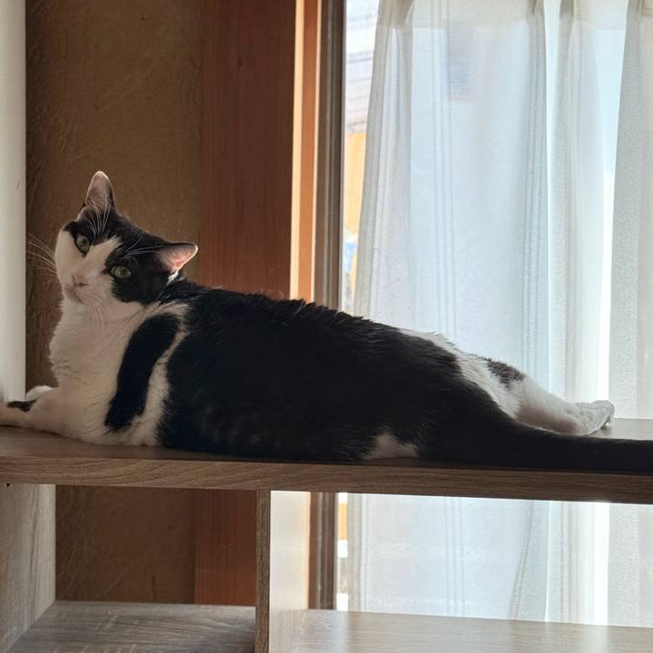 3f055a78 c2d4 4afa 95bf 3a2391c140dc 1755474439364